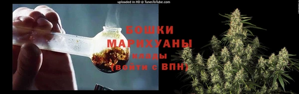 дмт Верея