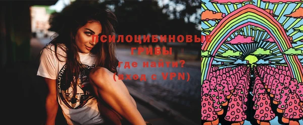 дмт Верея