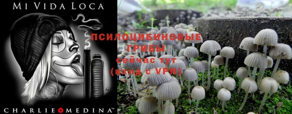 прущая мука Семилуки