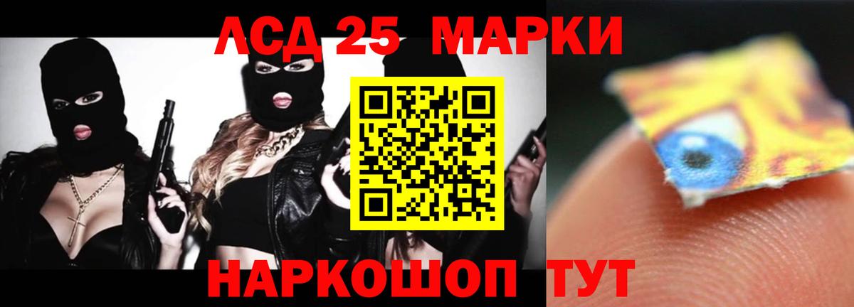 Выборг  mega как войти  Вход с VPN  ЛСД экстази ecstasy 