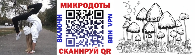 продажа наркотиков  Выборг  Псилоцибиновые грибы Psilocybe 