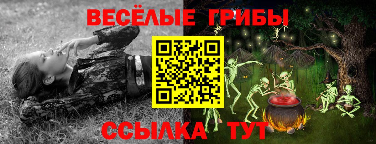 Псилоцибиновые грибы Cubensis  Псилоцибиновые грибы Cubensis  Выборг  Вход с VPN 